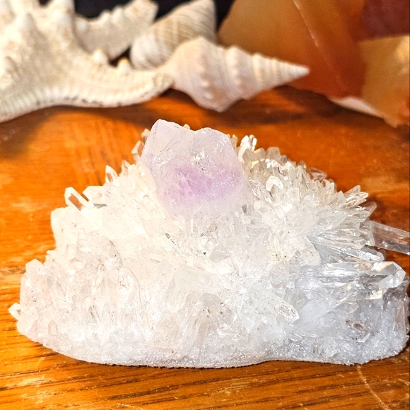 chrysanthemum amethyst cluster - Picture 4 of 9